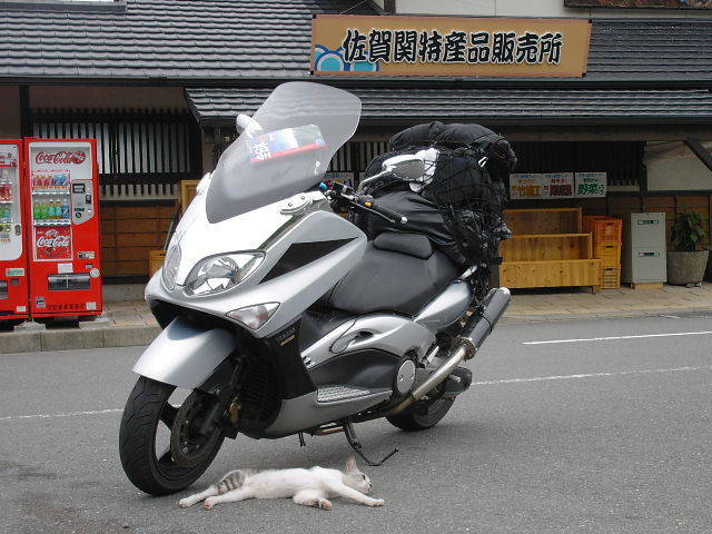 f:id:PONPANJP:20200529201828j:plain f:id:PONPANJP:20200529201828j:plain