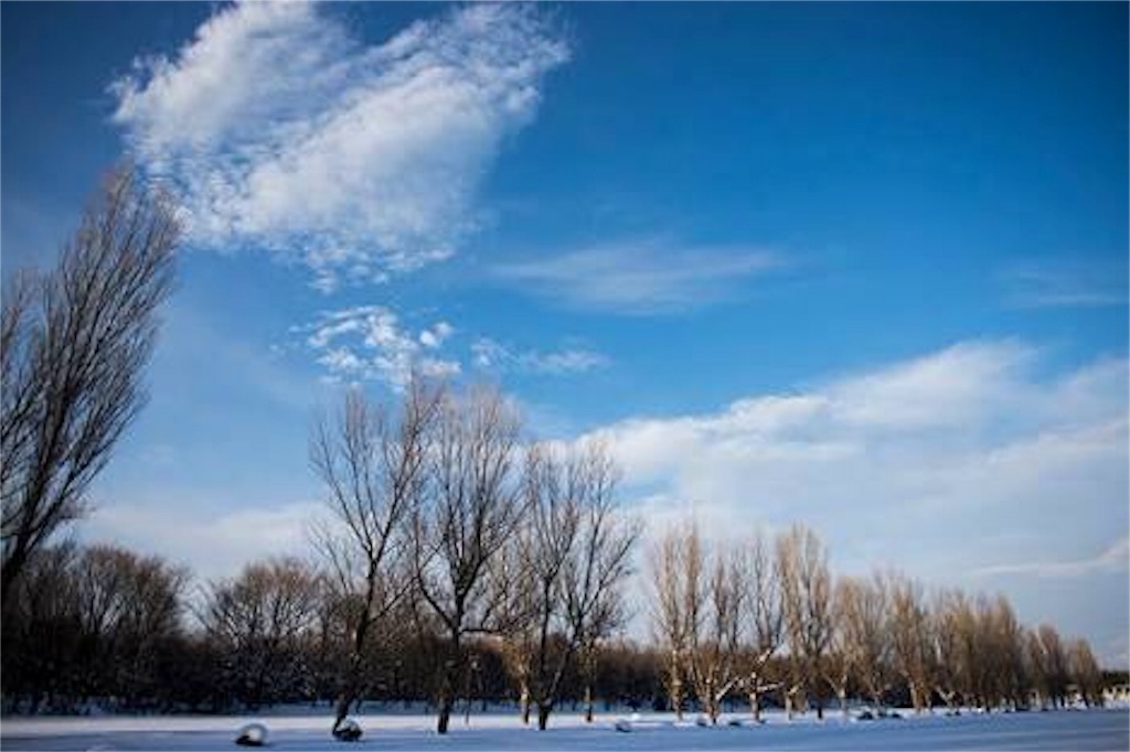 f:id:POPAYE:20170122165451j:image