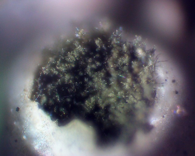 f:id:PPN_LAB:20211128201255j:image