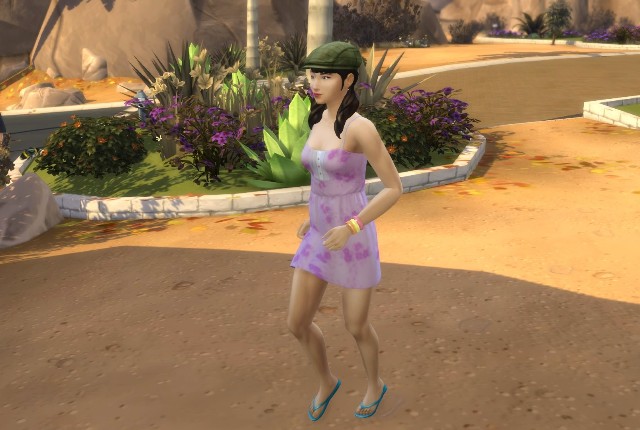 f:id:PS4SIMS4:20200218233738j:plain