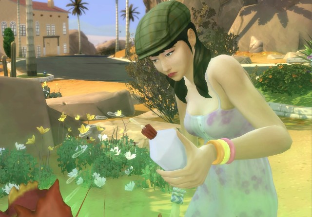 f:id:PS4SIMS4:20200218234118j:plain