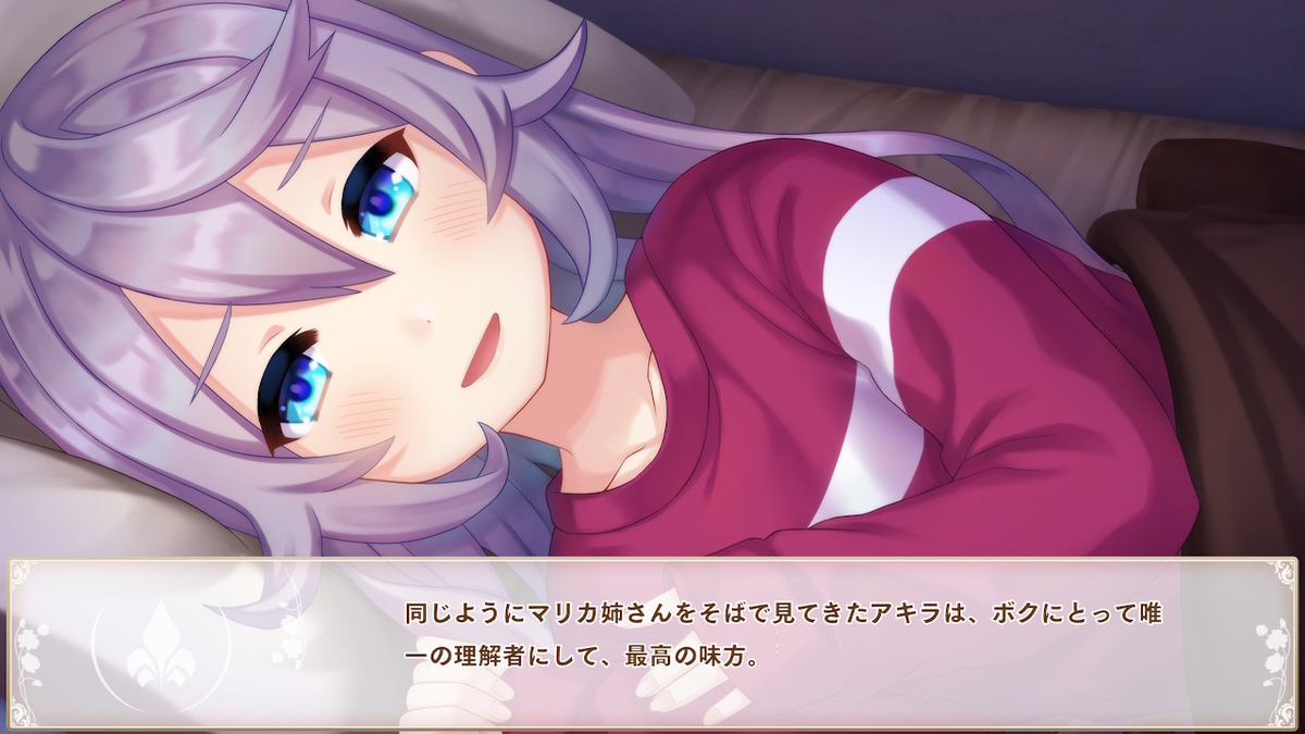 f:id:PSerimochi:20200828204438j:plain