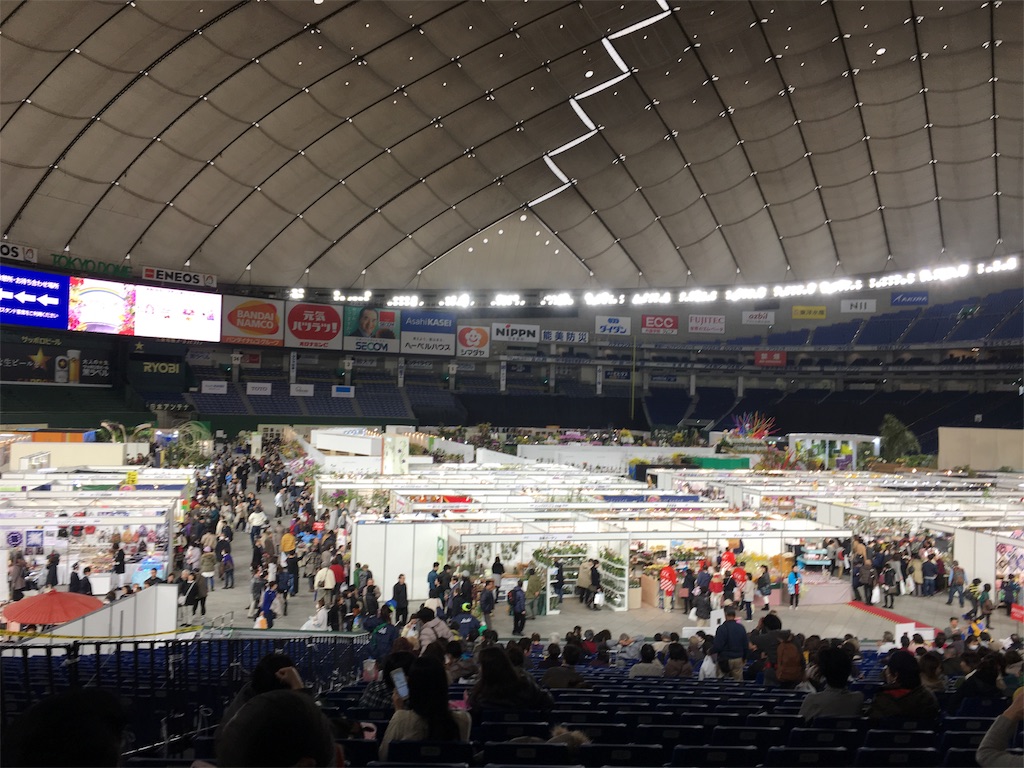 f:id:PUJIMO:20190210003320j:image