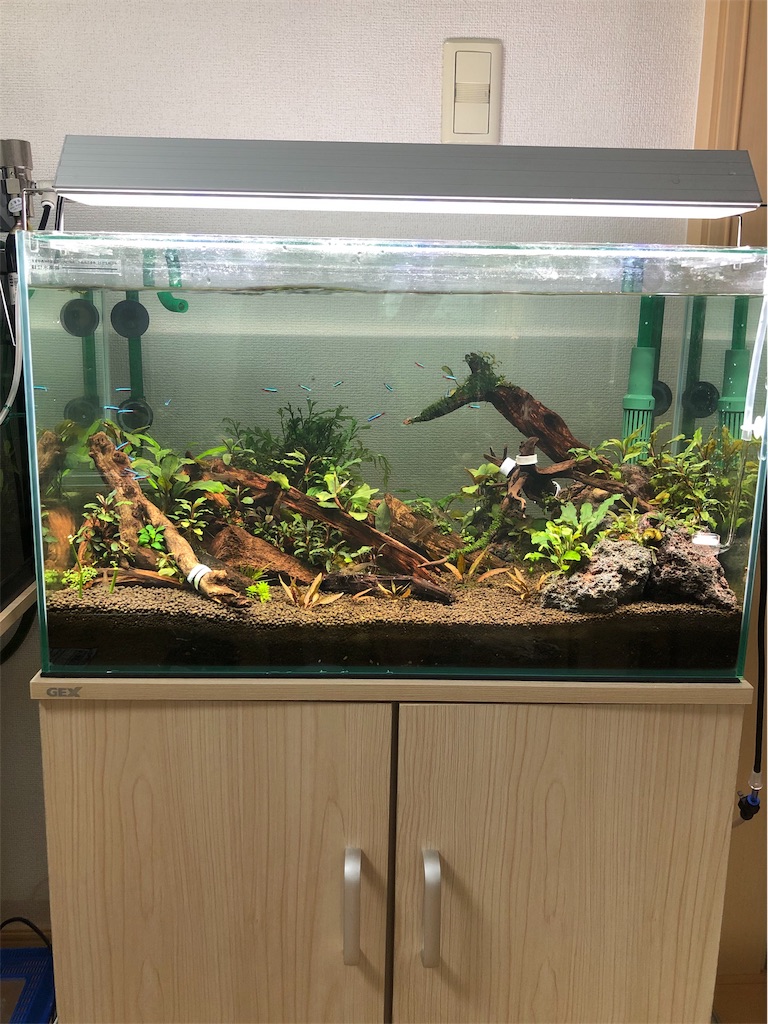 f:id:PUJIMO:20190916122157j:image