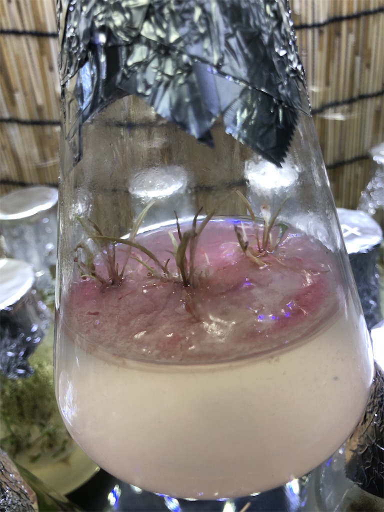 f:id:PUJIMO:20191218231353j:image f:id:PUJIMO:20191218231353j:image