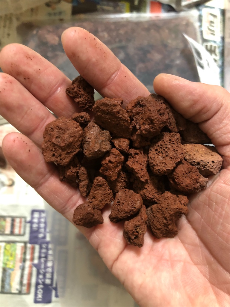 f:id:PUJIMO:20201210212916j:image