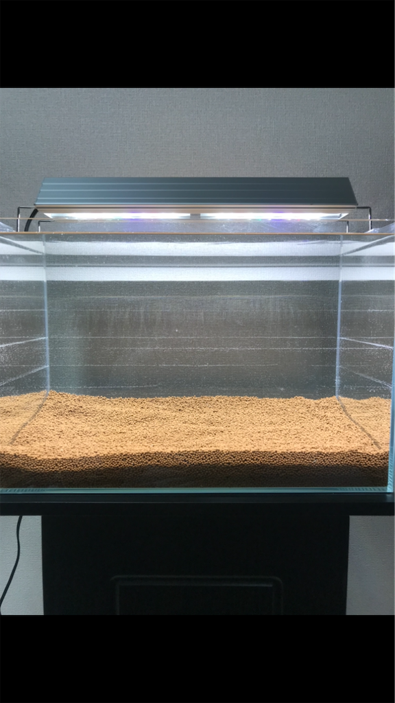 f:id:PUJIMO:20201213022608p:image