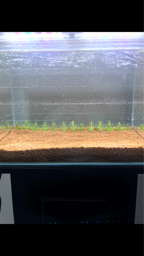 f:id:PUJIMO:20201213022841p:image