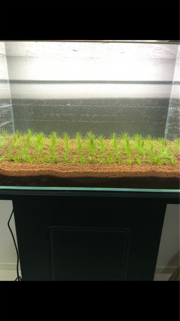 f:id:PUJIMO:20201213023016p:image