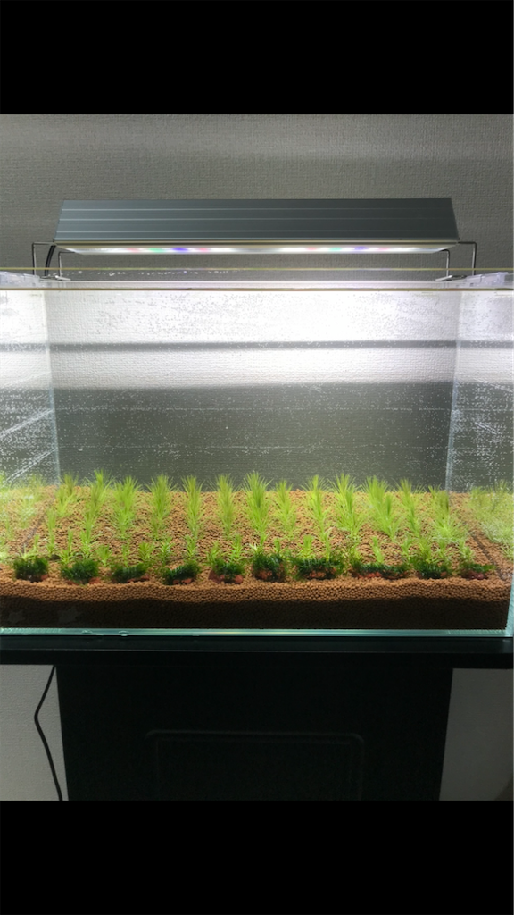 f:id:PUJIMO:20201213023202p:image