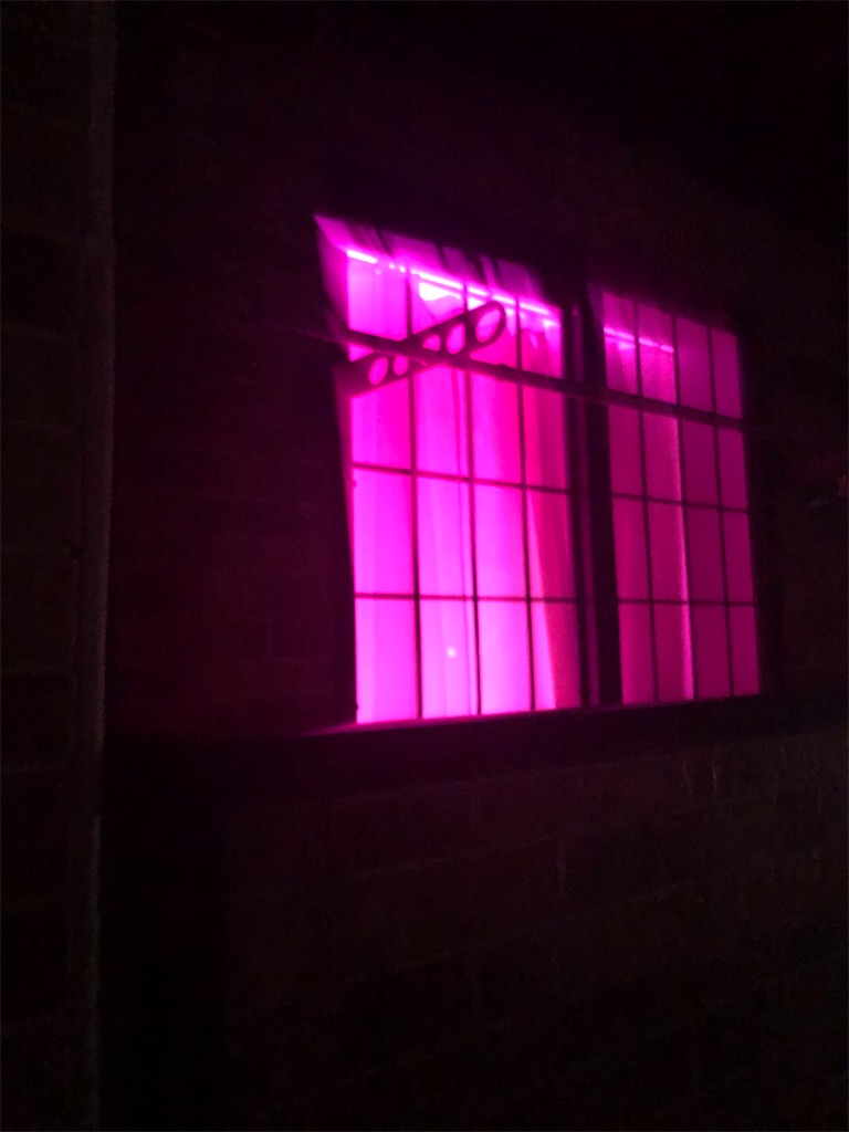 f:id:PUJIMO:20201214214845j:image f:id:PUJIMO:20201214214845j:image