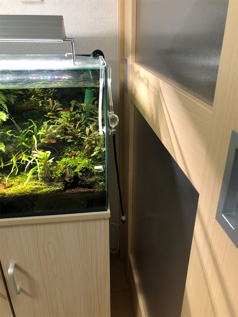 f:id:PUJIMO:20201215231631j:image