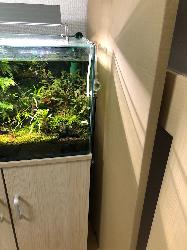 f:id:PUJIMO:20201215231722j:image