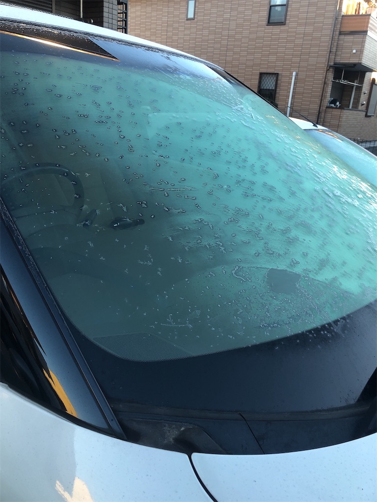 f:id:PUJIMO:20201217080244j:image