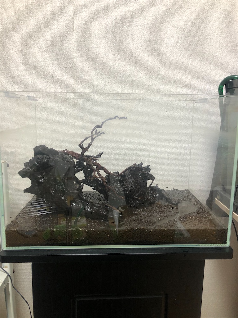 f:id:PUJIMO:20201223233745j:image f:id:PUJIMO:20201223233745j:image