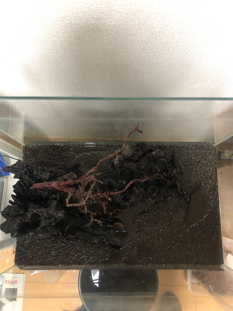 f:id:PUJIMO:20201223233801j:image f:id:PUJIMO:20201223233801j:image