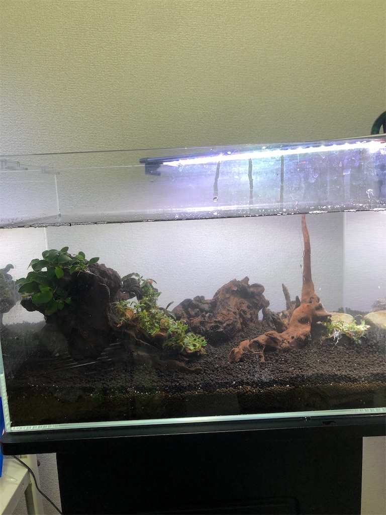 f:id:PUJIMO:20201223234029j:image f:id:PUJIMO:20201223234029j:image