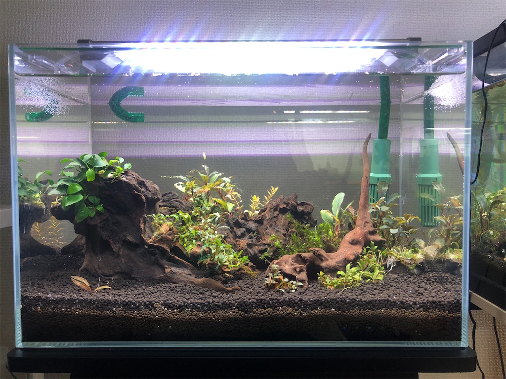 f:id:PUJIMO:20210116002016j:image