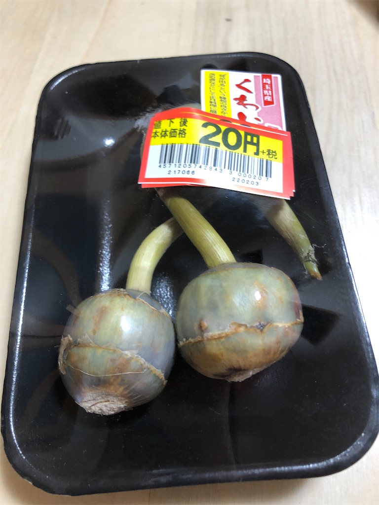 f:id:PUJIMO:20210121230537j:image