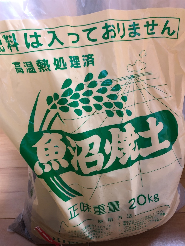 f:id:PUJIMO:20210121231525j:image