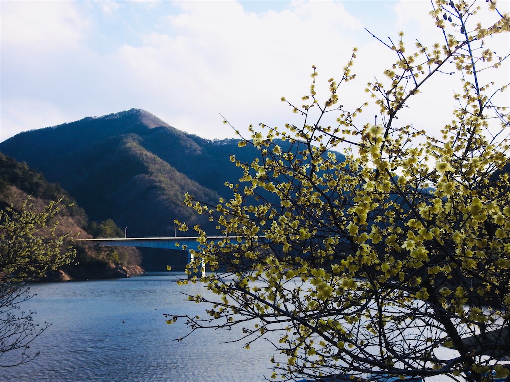 f:id:PUJIMO:20210208182513j:image