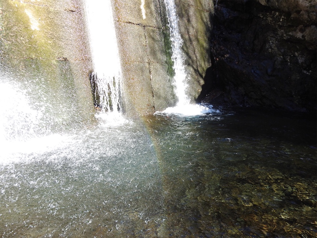 f:id:PUJIMO:20210212204052j:image