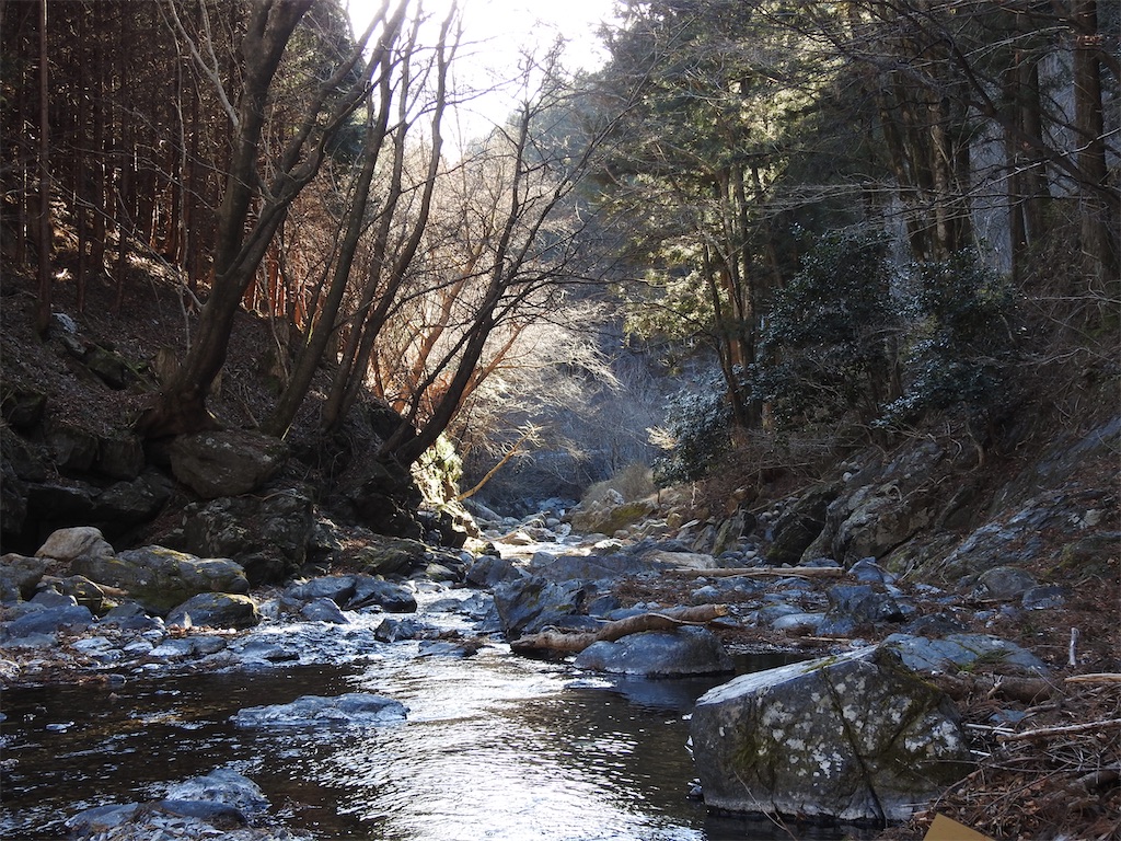 f:id:PUJIMO:20210212210530j:image