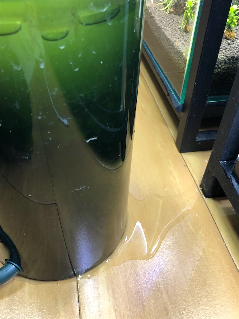 f:id:PUJIMO:20210224231930j:image