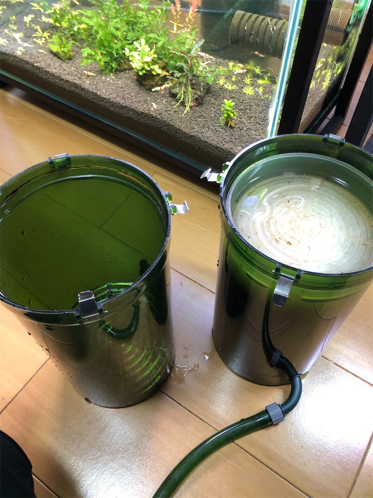 f:id:PUJIMO:20210224232241j:image