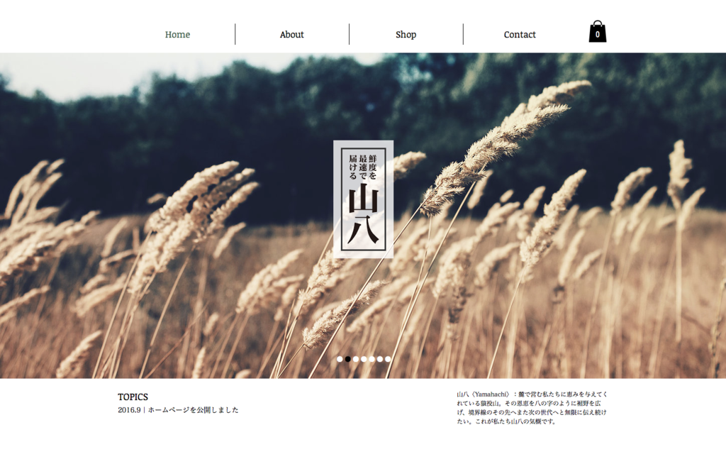 f:id:PYNTORI:20160915234222p:plain