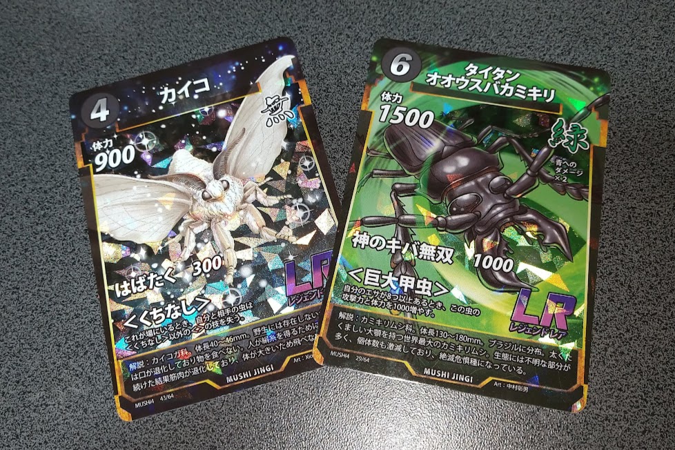 対馬採集記】サービス終了！？離島初心者の飼育マンが行く、波乱