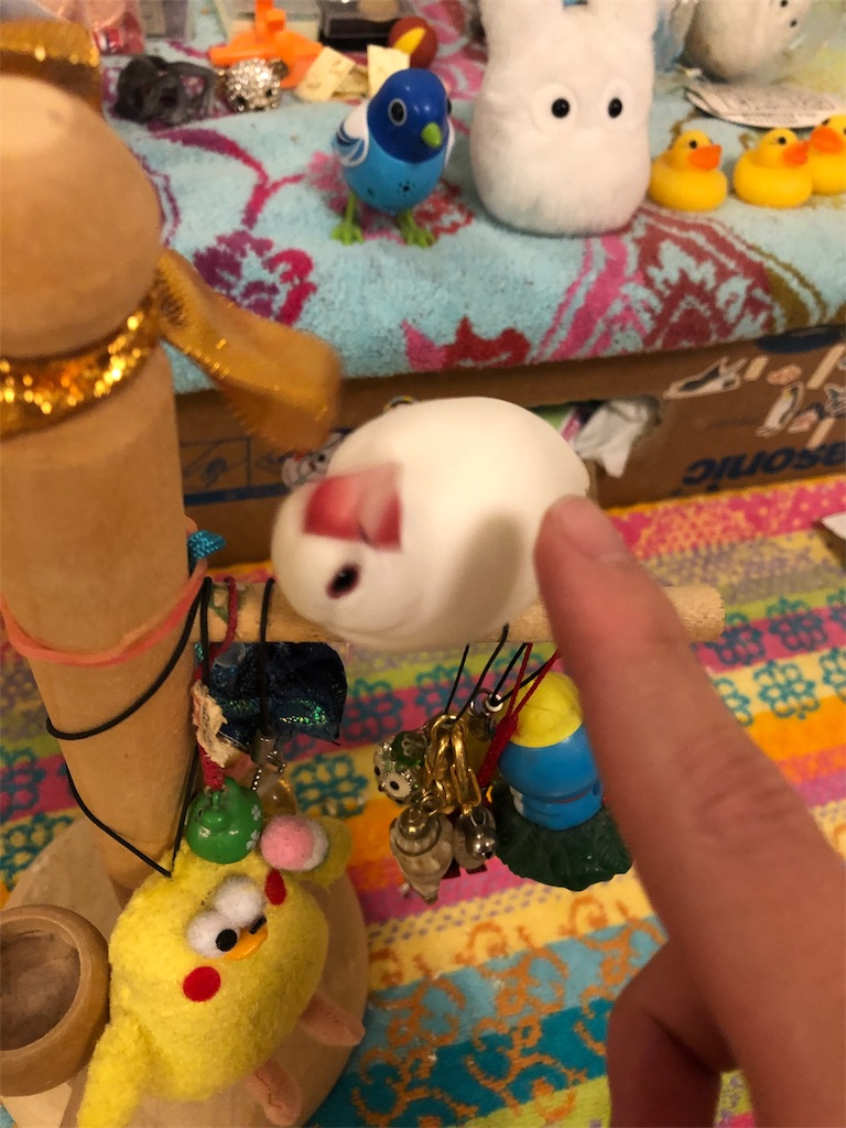 f:id:Pa-ru:20190309151228j:image