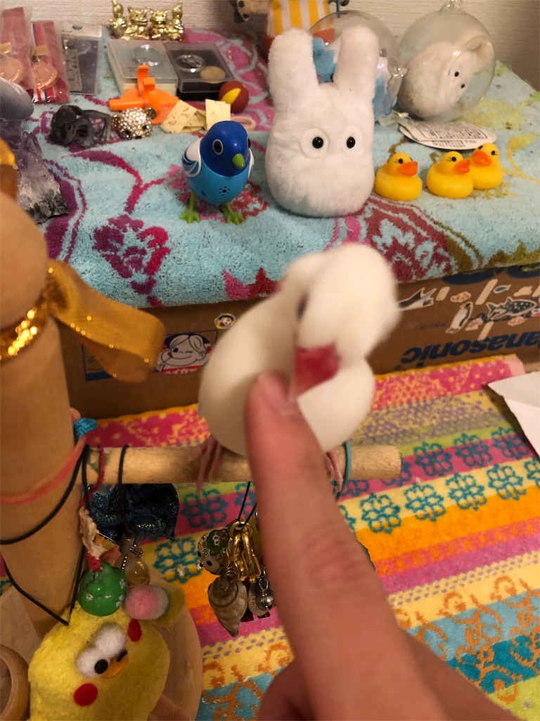 f:id:Pa-ru:20190309151458j:image