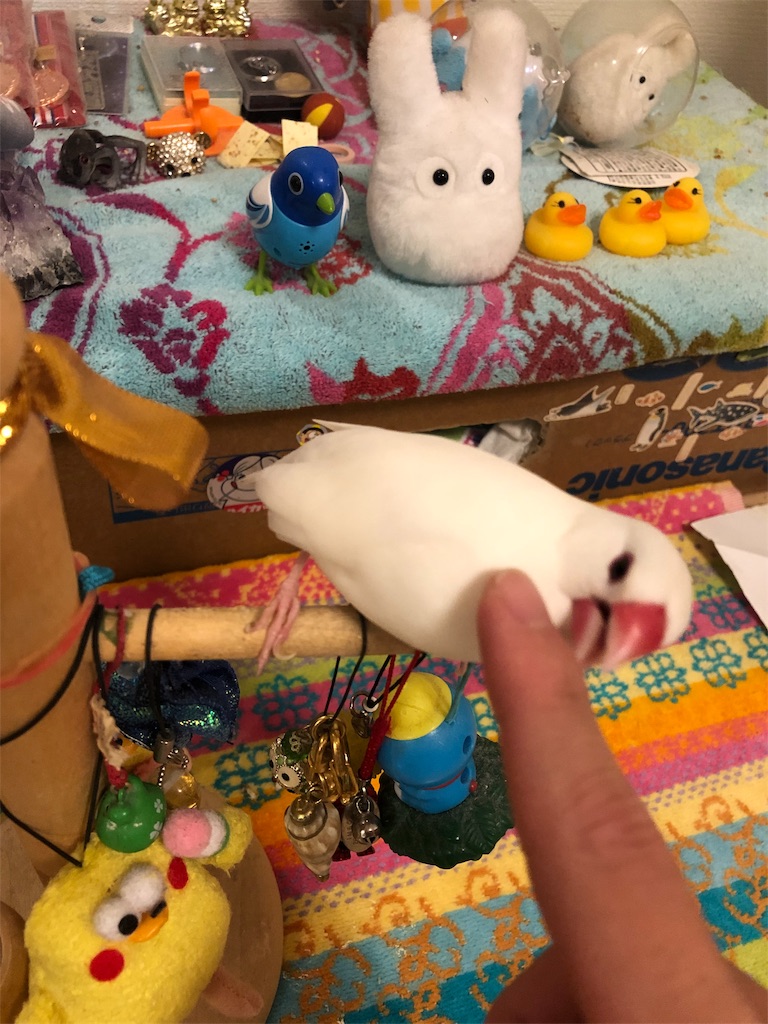 f:id:Pa-ru:20190309151502j:image