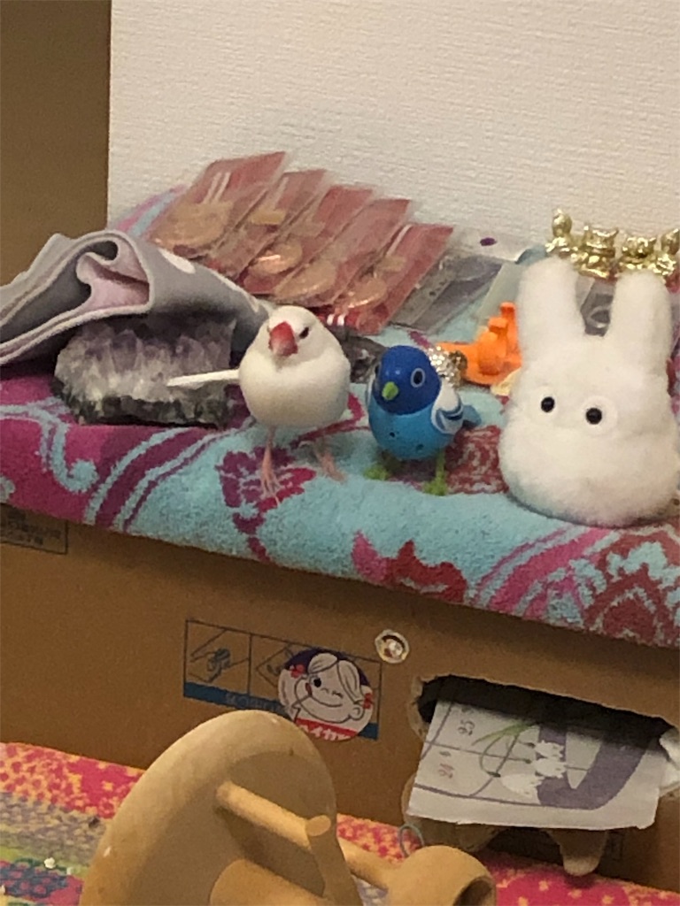 f:id:Pa-ru:20190309151917j:image