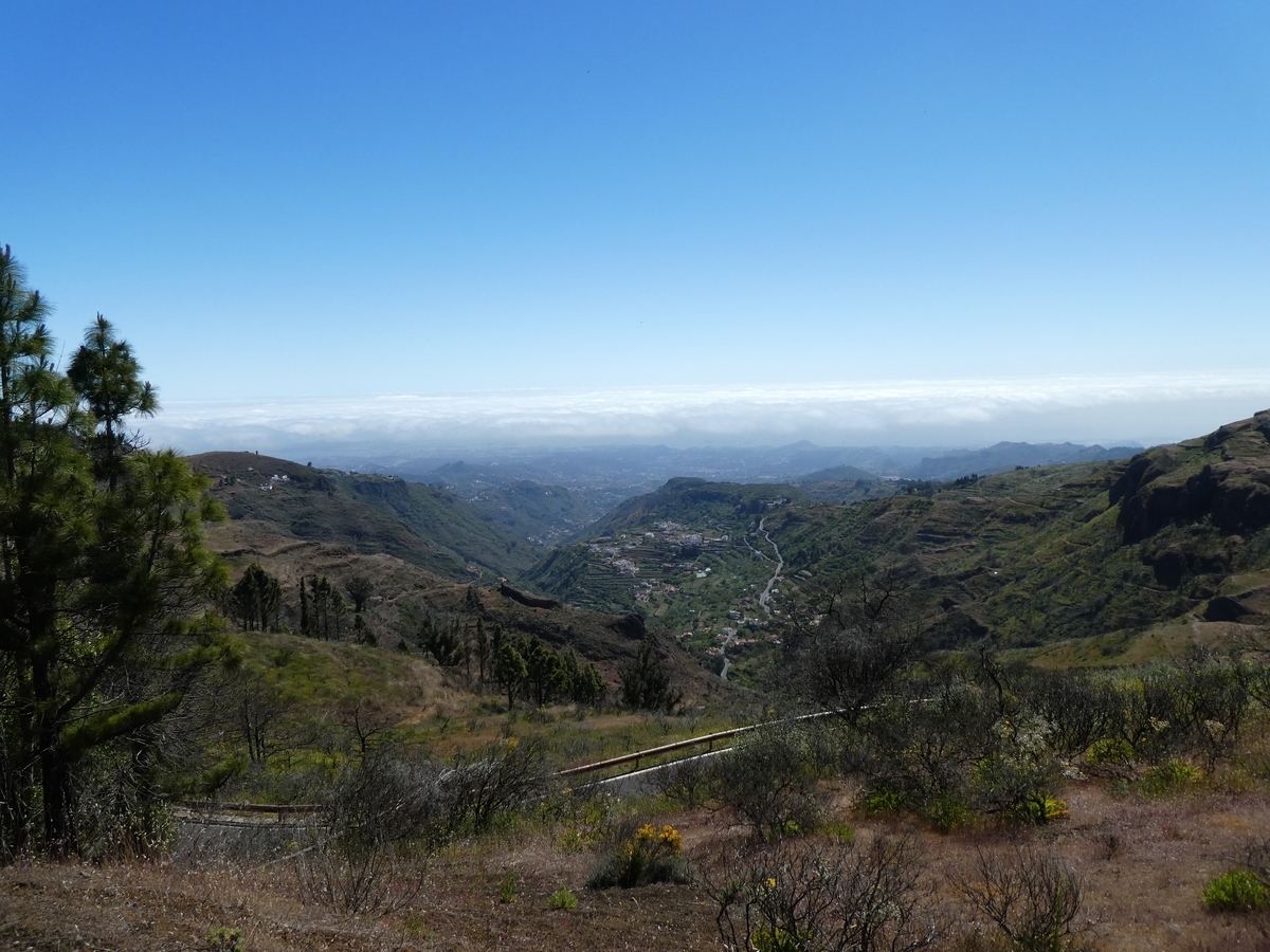 f:id:Pablo21:20190602233024j:plain f:id:Pablo21:20190602233024j:plain
