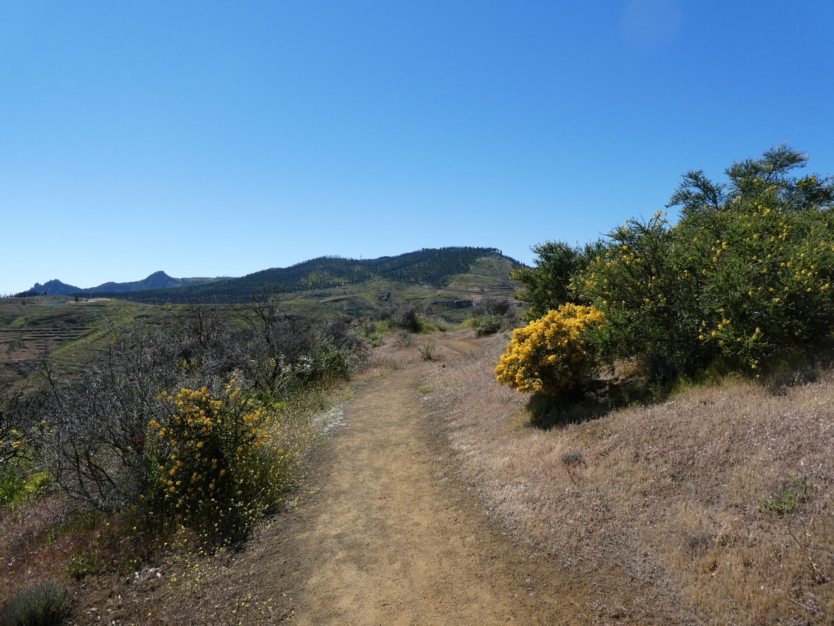 f:id:Pablo21:20190602233054j:plain f:id:Pablo21:20190602233054j:plain