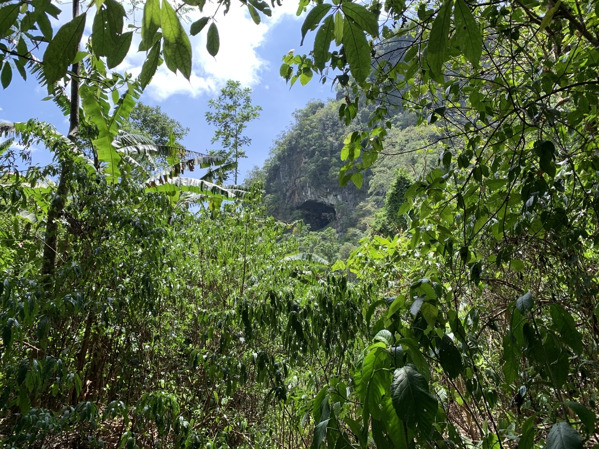 f:id:Pablo21:20190730010254j:plain f:id:Pablo21:20190730010254j:plain