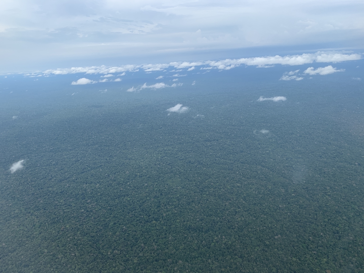 f:id:Pablo21:20191030004401j:plain f:id:Pablo21:20191030004401j:plain