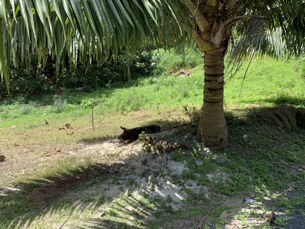 f:id:Pablo21:20191120230749j:plain f:id:Pablo21:20191120230749j:plain