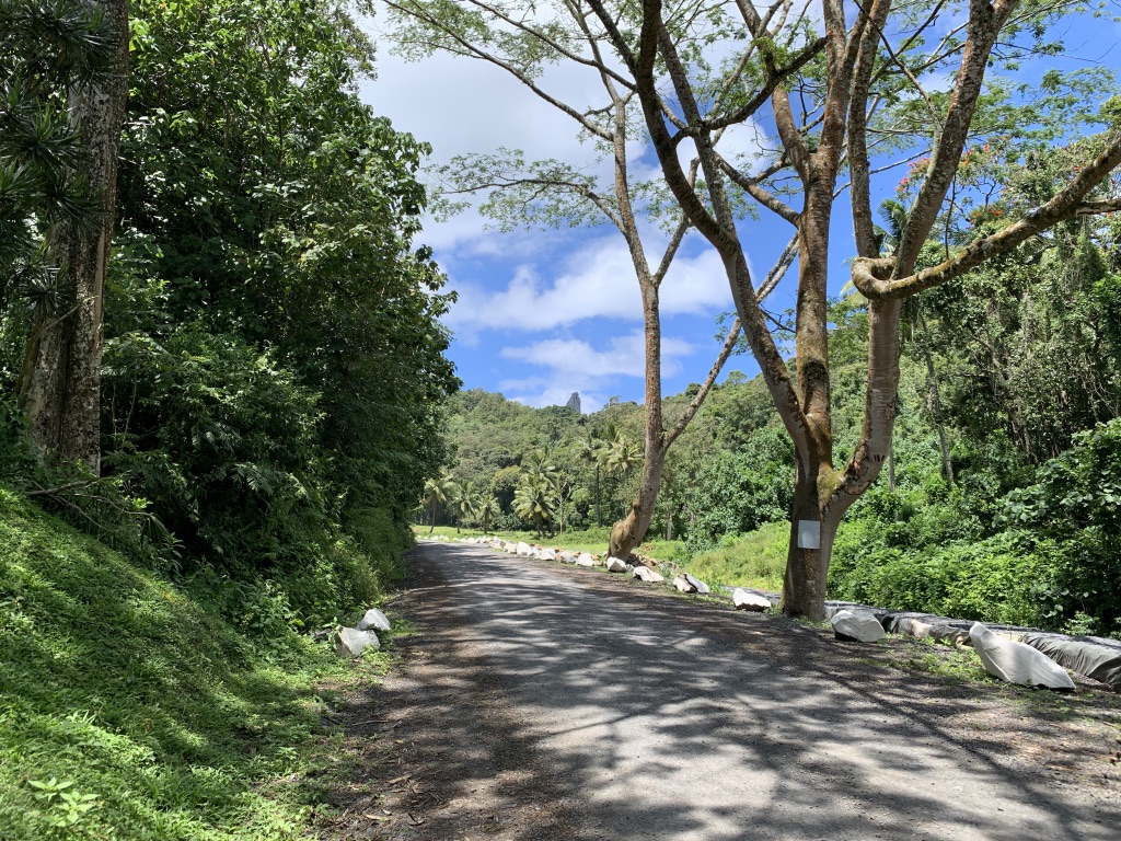 f:id:Pablo21:20191120231730j:plain f:id:Pablo21:20191120231730j:plain