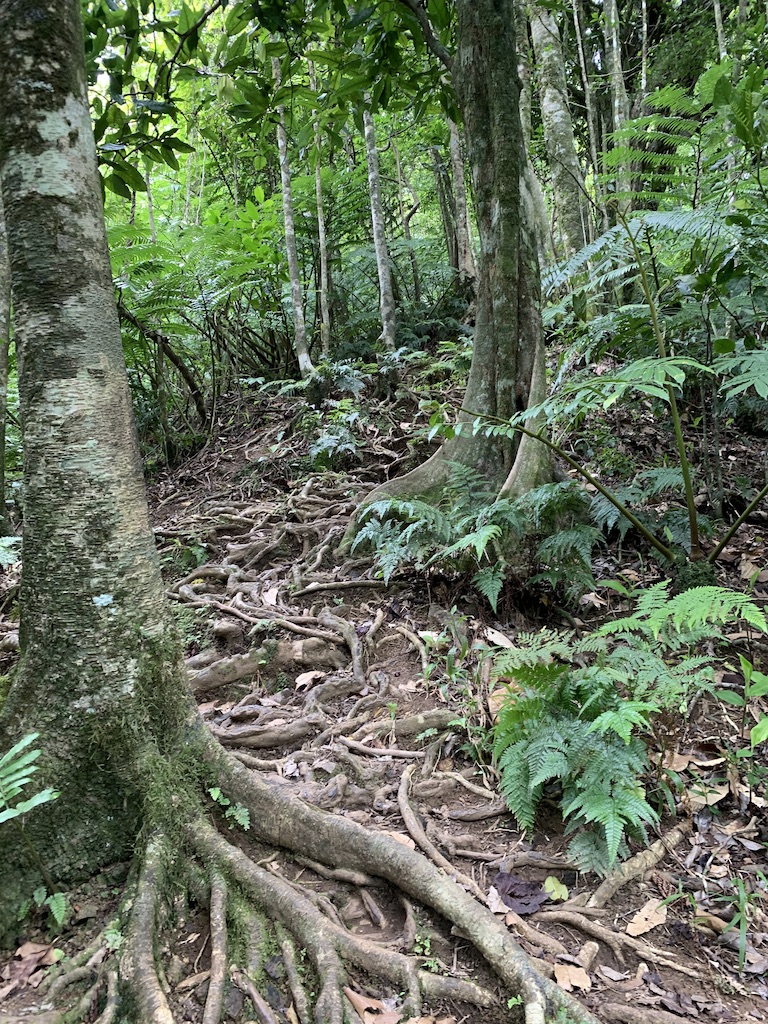 f:id:Pablo21:20191120231835j:plain f:id:Pablo21:20191120231835j:plain