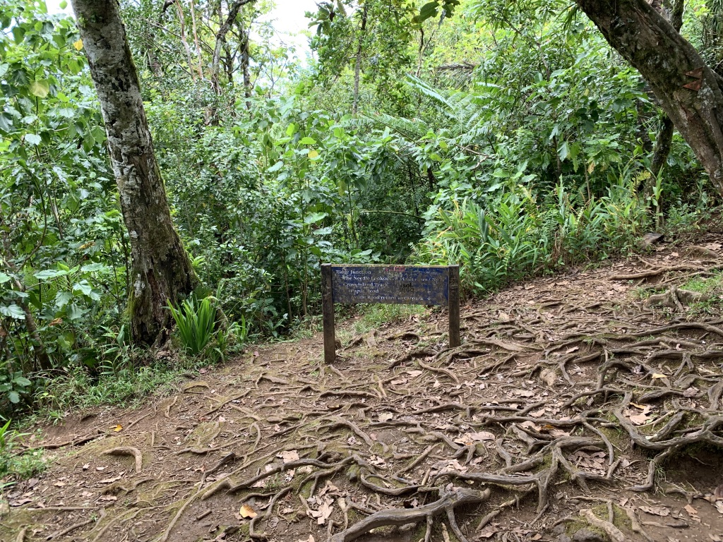 f:id:Pablo21:20191120232005j:plain f:id:Pablo21:20191120232005j:plain