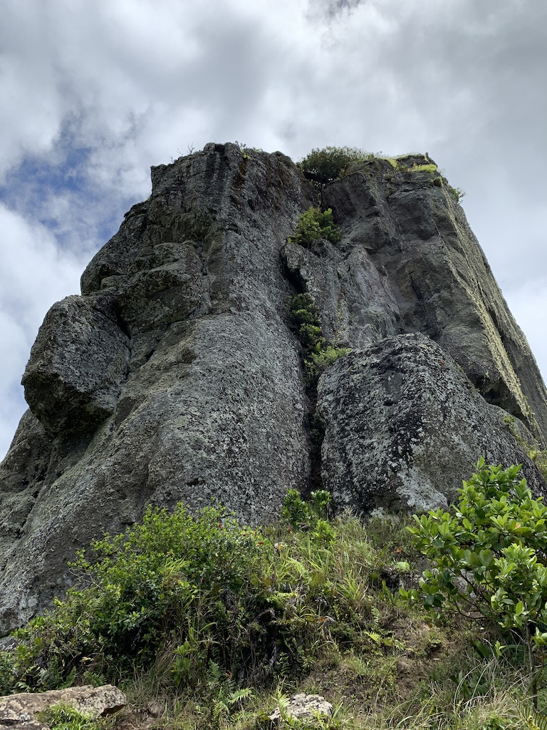 f:id:Pablo21:20191120232119j:plain f:id:Pablo21:20191120232119j:plain