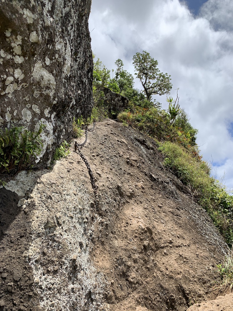 f:id:Pablo21:20191120232127j:plain f:id:Pablo21:20191120232127j:plain