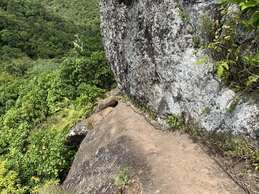 f:id:Pablo21:20191120232323j:plain f:id:Pablo21:20191120232323j:plain