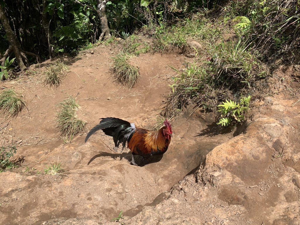 f:id:Pablo21:20191120232333j:plain f:id:Pablo21:20191120232333j:plain