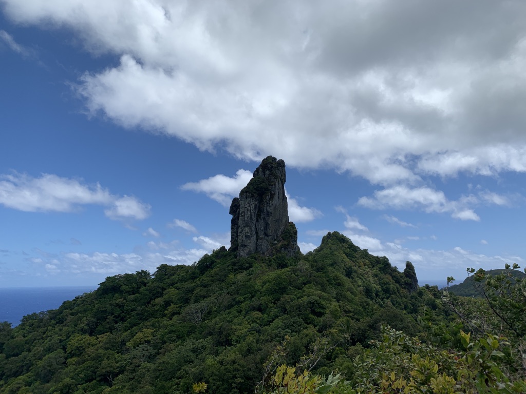 f:id:Pablo21:20191120232505j:plain f:id:Pablo21:20191120232505j:plain