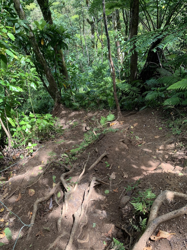 f:id:Pablo21:20191120232508j:plain f:id:Pablo21:20191120232508j:plain