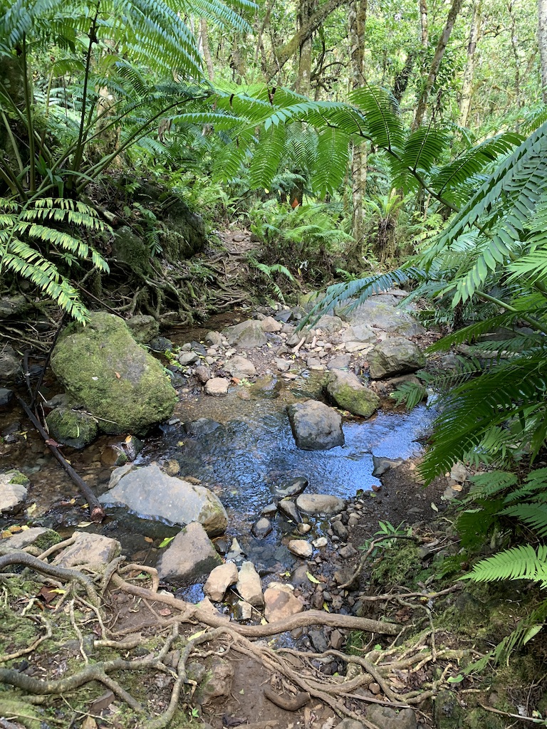 f:id:Pablo21:20191120232600j:plain f:id:Pablo21:20191120232600j:plain